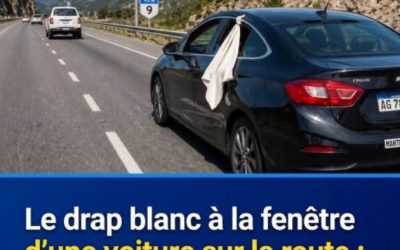 Personne ne connaît la signification de ce voyant lumineux sur le tableau de bord, il s’agit pourtant d’une urgence