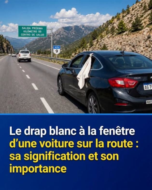 Personne ne connaît la signification de ce voyant lumineux sur le tableau de bord, il s’agit pourtant d’une urgence