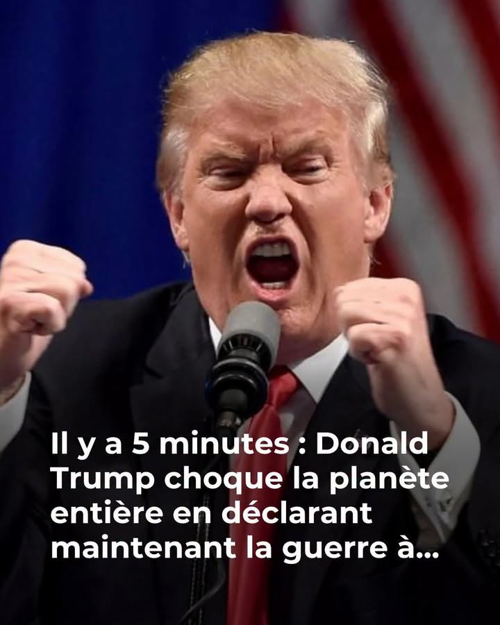 Démence chez Donald Trump ? Ce que révèle un spécialiste