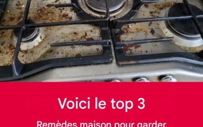 Voici les 3 meilleurs remèdes maison pour se débarrasser définitivement des déchets !