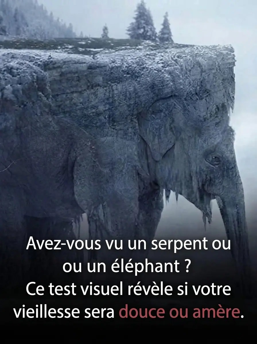 Serpent ou éléphant : cette illusion d’optique virale dit tout sur votre façon de voir l’avenir